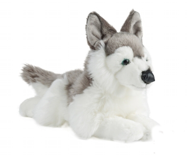 Husky plush customizable