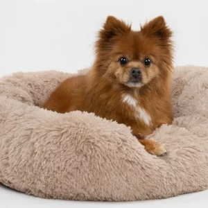 coussin rond pour chien