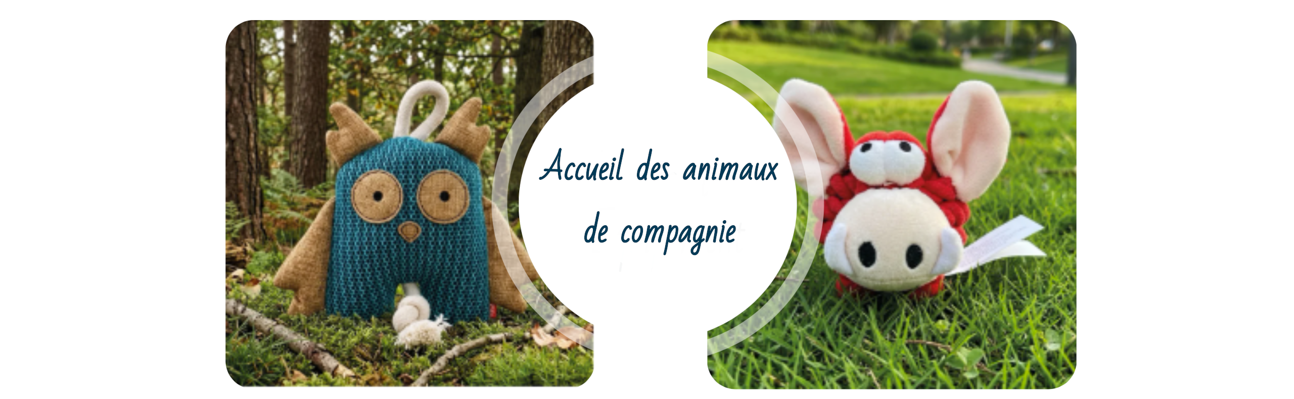 accueil animaux de compagnie